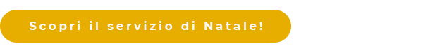 Scopri il servizio di Natale